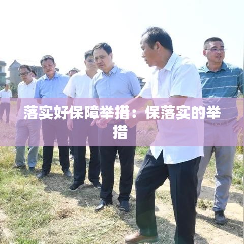 落實好保障舉措：保落實的舉措 