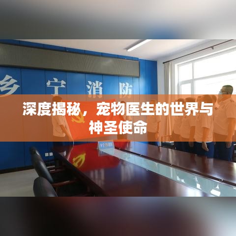 深度揭秘,寵物醫生的世界與神圣使命