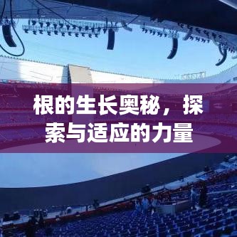 根的生長奧秘,探索與適應的力量