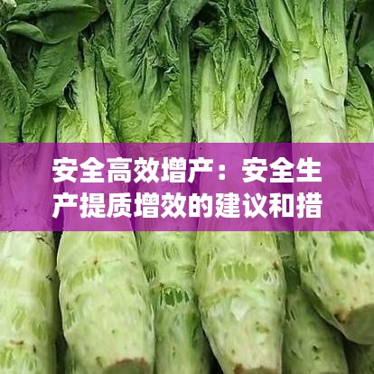 安全高效增產：安全生產提質增效的建議和措施 