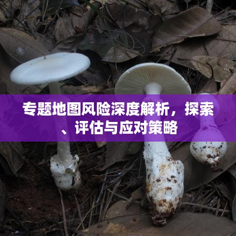 專題地圖風險深度解析,探索、評估與應對策略