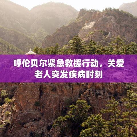 呼倫貝爾緊急救援行動,關愛老人突發疾病時刻