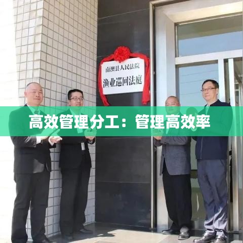 高效管理分工:管理高效率