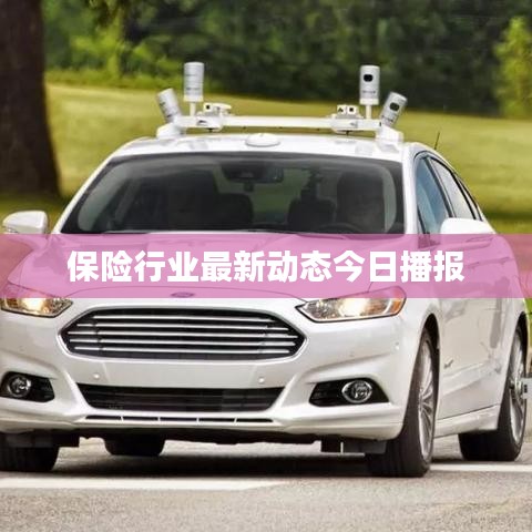 保險行業最新動態今日播報