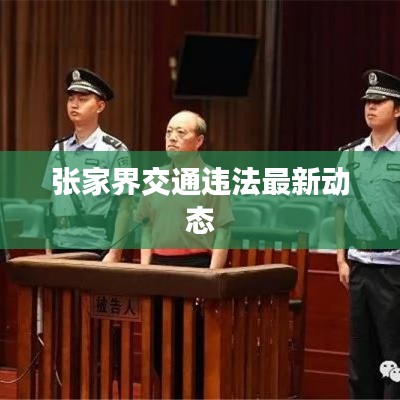 張家界交通違法最新動態