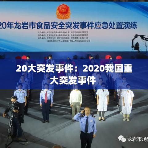 20大突發事件：2020我國重大突發事件 