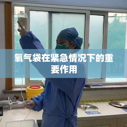 緊急情況下氧氣袋的重要作用與用途