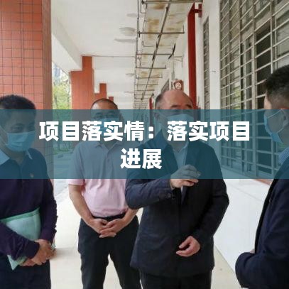 項目落實情：落實項目進展 