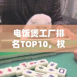 電飯煲工廠排名TOP10,權(quán)威榜單揭曉
