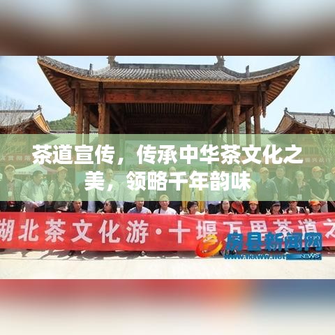 茶道宣傳,傳承中華茶文化之美,領略千年韻味