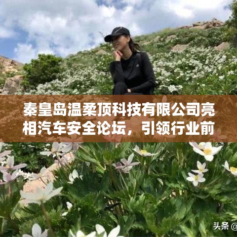 秦皇島溫柔頂科技亮相汽車安全論壇，引領前沿技術探討風潮