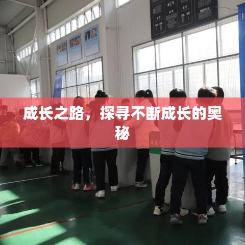 成長(zhǎng)之路，探尋不斷成長(zhǎng)的奧秘