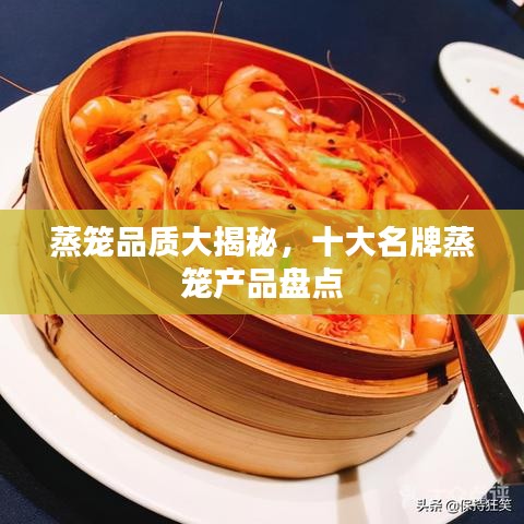 蒸籠品質(zhì)大揭秘，十大名牌蒸籠產(chǎn)品盤點(diǎn)