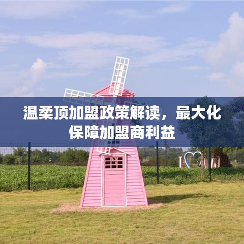 溫柔頂加盟政策詳解,最大化保障加盟商利益