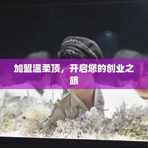 加盟溫柔頂,創業啟程啟航