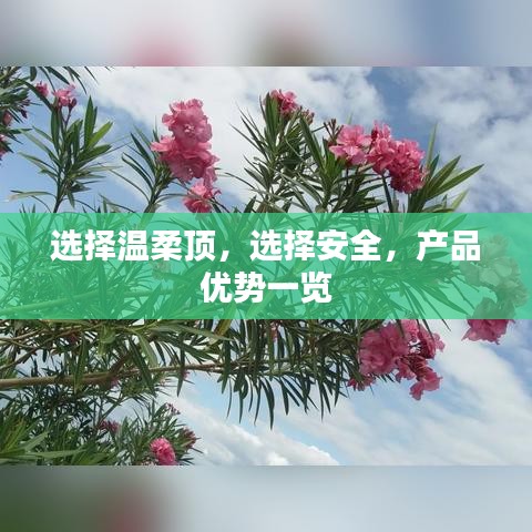 溫柔頂科技,安全之選,產品優勢詳解