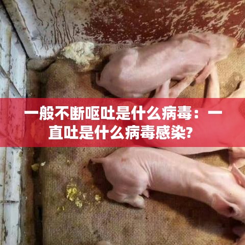 一般不斷嘔吐是什么病毒:一直吐是什么病毒感染?