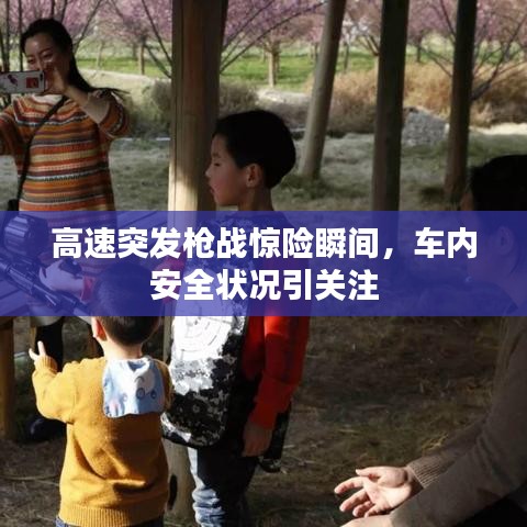 臼灶生蛙 第4頁