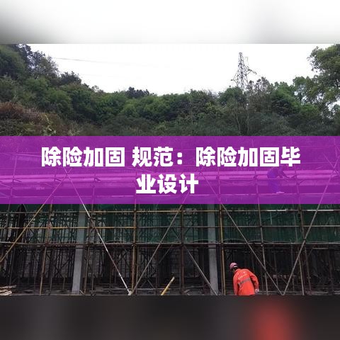 除險(xiǎn)加固 規(guī)范:除險(xiǎn)加固畢業(yè)設(shè)計(jì)