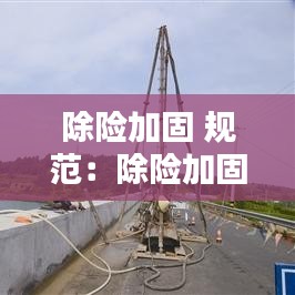 除險(xiǎn)加固 規(guī)范:除險(xiǎn)加固畢業(yè)設(shè)計(jì)