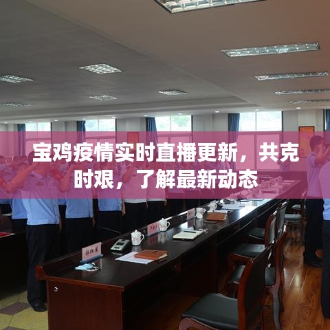 寶雞疫情實時直播更新,共克時艱,了解最新動態