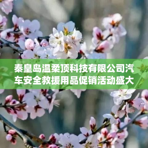 秦皇島溫柔頂科技汽車安全救援用品促銷盛大開啟