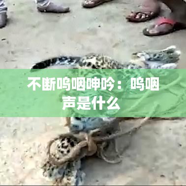 不斷嗚咽呻吟:嗚咽聲是什么