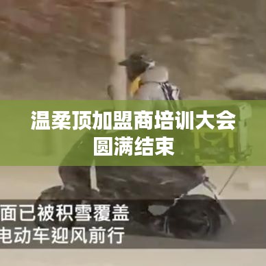 溫柔頂加盟商培訓(xùn)圓滿落幕,共創(chuàng)未來,攜手同行