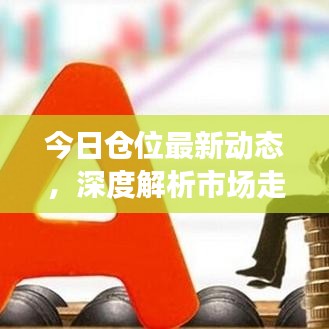 今日倉位最新動態,深度解析市場走勢