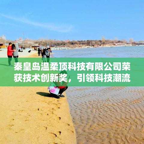 秦皇島溫柔頂科技榮獲創(chuàng)新獎(jiǎng),引領(lǐng)行業(yè)潮流,鑄就典范地位