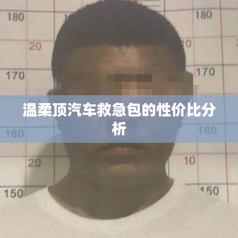 溫柔頂汽車(chē)救急包,性?xún)r(jià)比解析