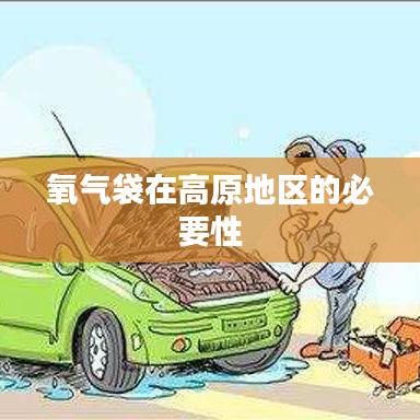 高原地區氧氣袋的不可或缺性