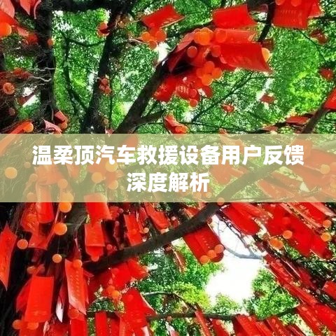 溫柔頂汽車(chē)救援設(shè)備用戶(hù)反饋詳解