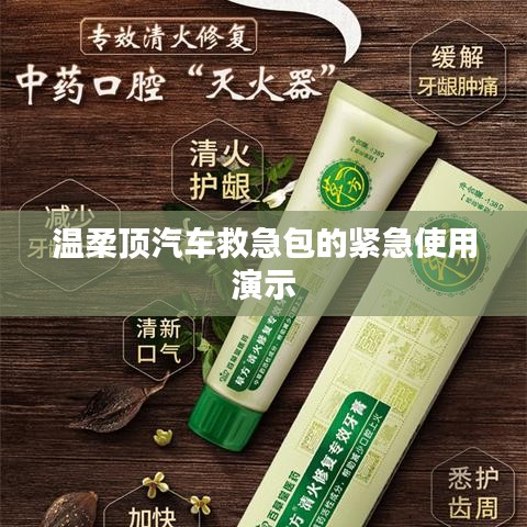 溫柔頂汽車救急包緊急使用指南，演示篇