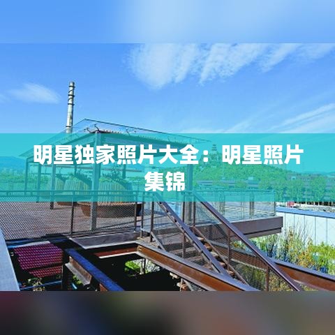 明星獨(dú)家照片大全:明星照片集錦