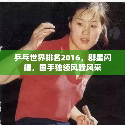 乒乓世界排名2016，群星閃耀，國手獨領風騷風采