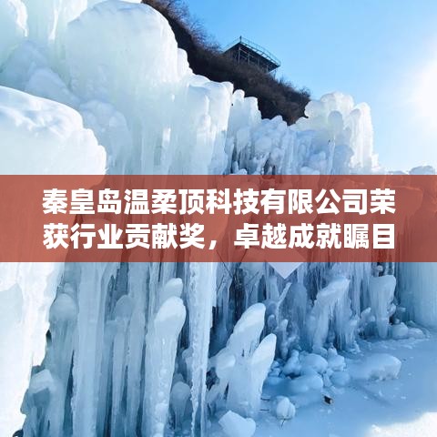 秦皇島溫柔頂科技榮獲行業(yè)貢獻(xiàn)獎,引領(lǐng)創(chuàng)新風(fēng)潮,卓越成就矚目