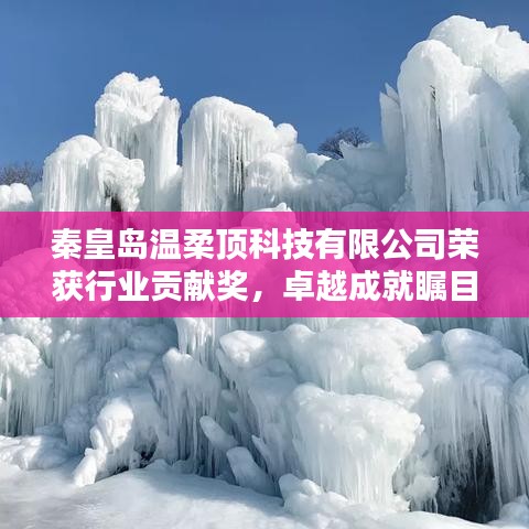 秦皇島溫柔頂科技榮獲行業(yè)貢獻(xiàn)獎,引領(lǐng)創(chuàng)新風(fēng)潮,卓越成就矚目
