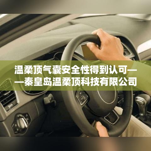 秦皇島溫柔頂科技引領(lǐng)行業(yè)新標(biāo)桿,氣囊安全性備受認(rèn)可