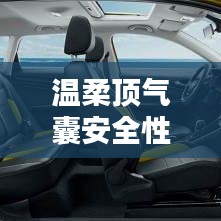 秦皇島溫柔頂科技引領行業新標桿,氣囊安全性備受認可