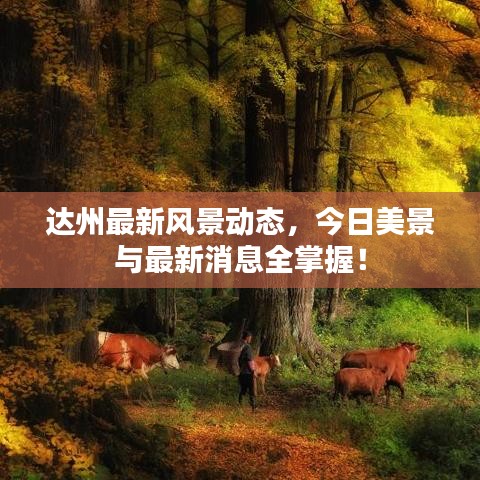 達(dá)州最新風(fēng)景動(dòng)態(tài)，今日美景與最新消息全掌握！