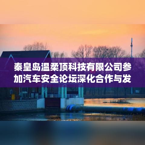 秦皇島溫柔頂科技參加汽車安全論壇,深化合作,共謀發展