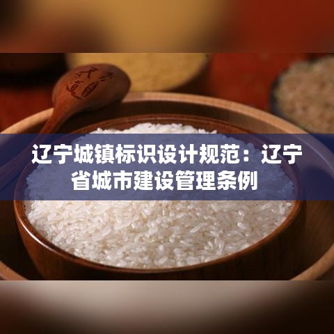 遼寧城鎮標識設計規范：遼寧省城市建設管理條例 