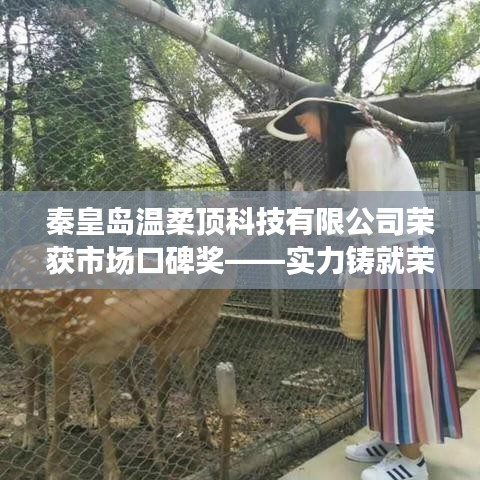 秦皇島溫柔頂科技榮獲市場口碑獎,實力創(chuàng)新,引領(lǐng)未來