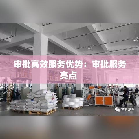 審批高效服務優勢:審批服務亮點