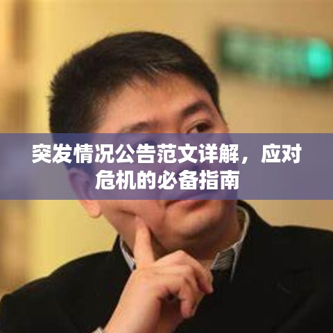 突發情況公告范文詳解，應對危機的必備指南