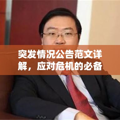 突發情況公告范文詳解,應對危機的必備指南