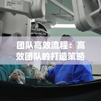 團(tuán)隊(duì)高效流程:高效團(tuán)隊(duì)的打造策略