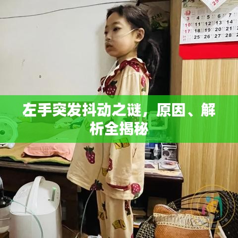 左手突發抖動之謎，原因、解析全揭秘