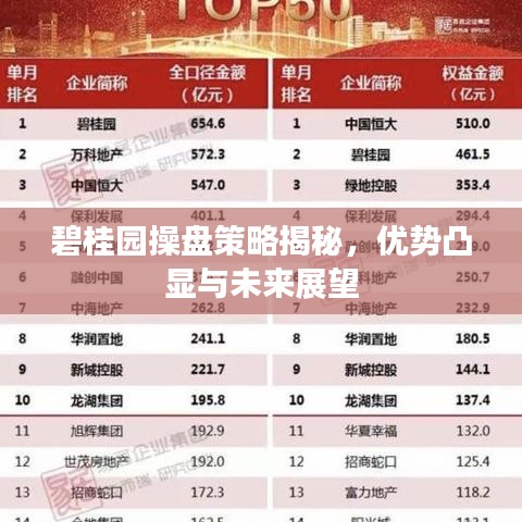 碧桂園操盤策略揭秘,優(yōu)勢凸顯與未來展望